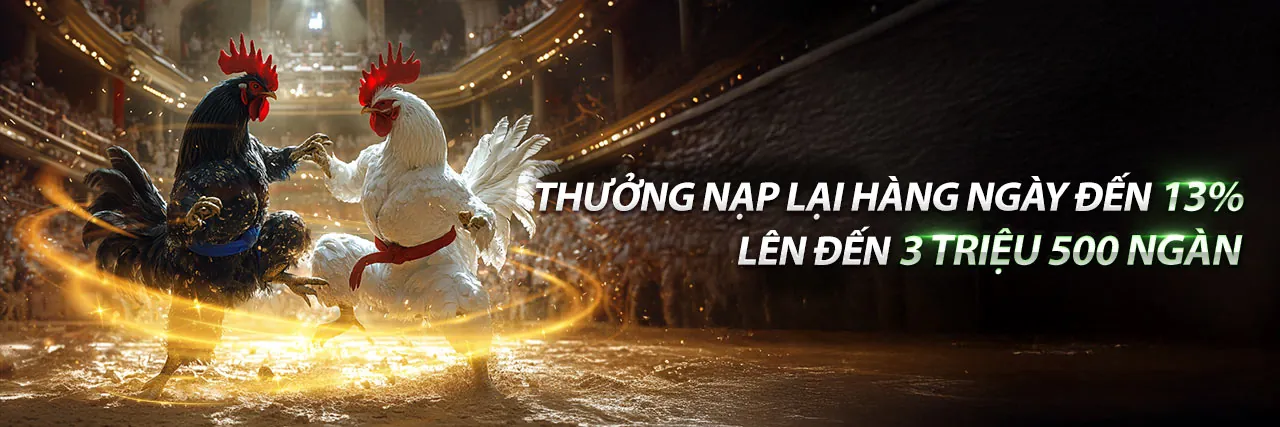 Đấu trường đá gà trực tuyến benbet
